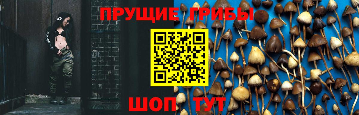 Радужный  Псилоцибиновые грибы Psilocybe  Галлюциногенные грибы MAGIC MUSHROOMS  Вход с VPN 